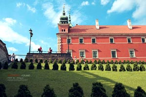 体坛巨星们集结厮杀，向着荣耀发起冲击