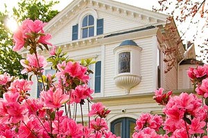 拉文斯领导篮网队获胜