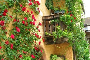 浙江男篮客场不敌江苏队，士气略显低迷