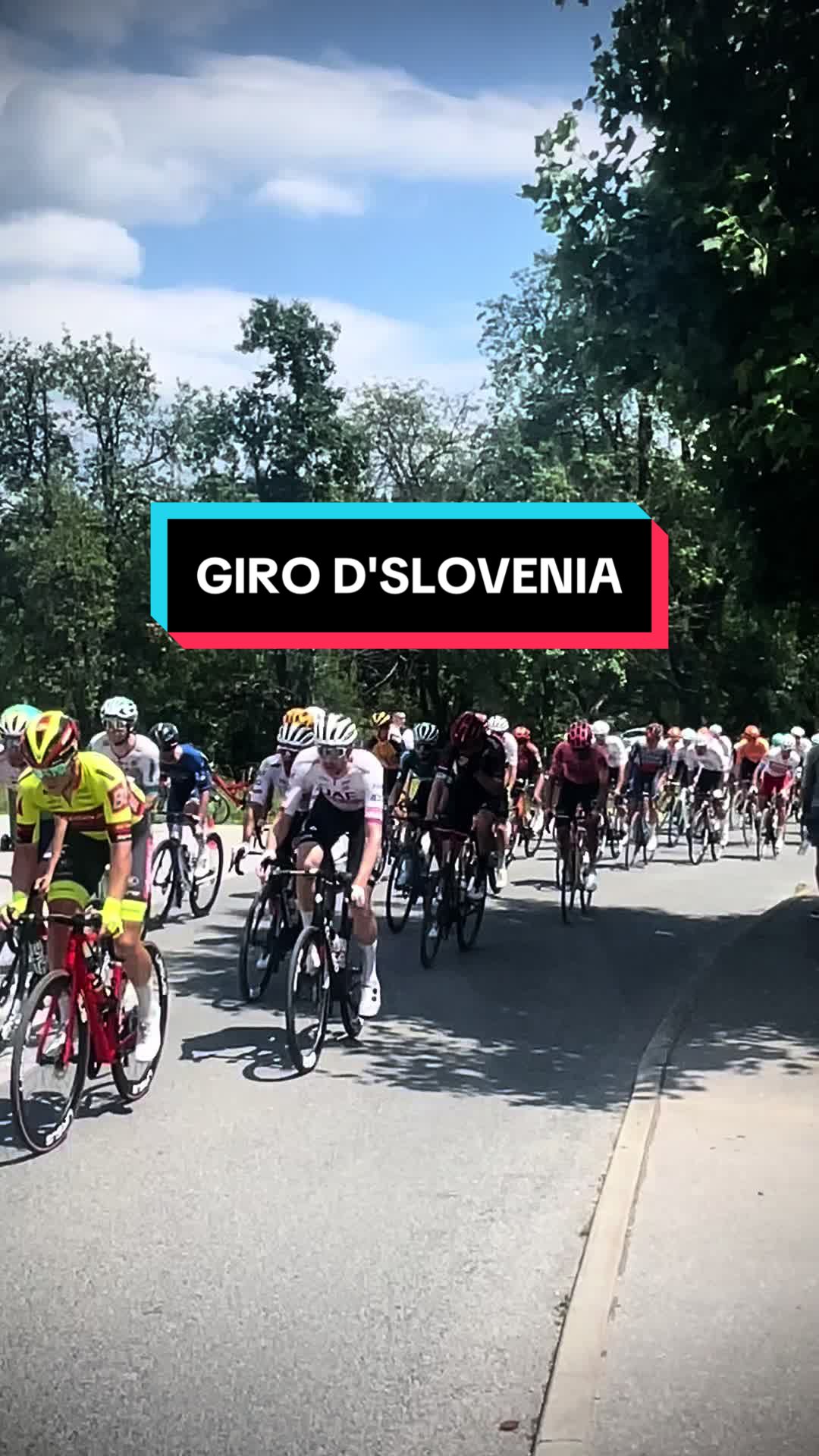 斯洛文尼亚自行车选手速度惊人