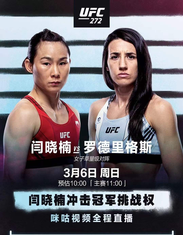 鹿岛鹿角冲击冠军，锋线磨合进入关键期的简单介绍