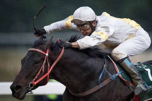 爱游戏app-强队遭遇黑马，场上精彩连连